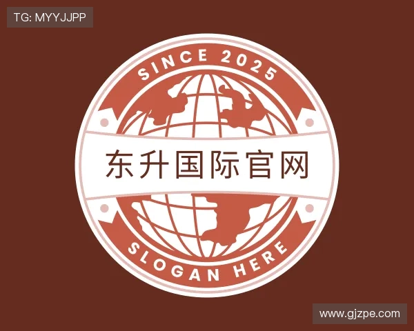 关于东升国际网站